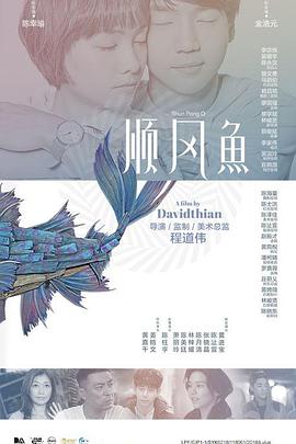 埃及猫原视频