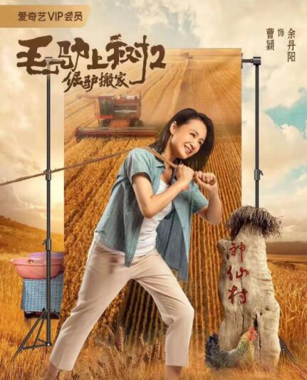 大麦的秘密日记