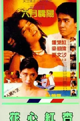 二区三区在线观看