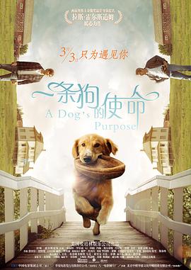 狠狠操狠狠干2017