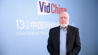 久久亚洲精品国产精品婷婷